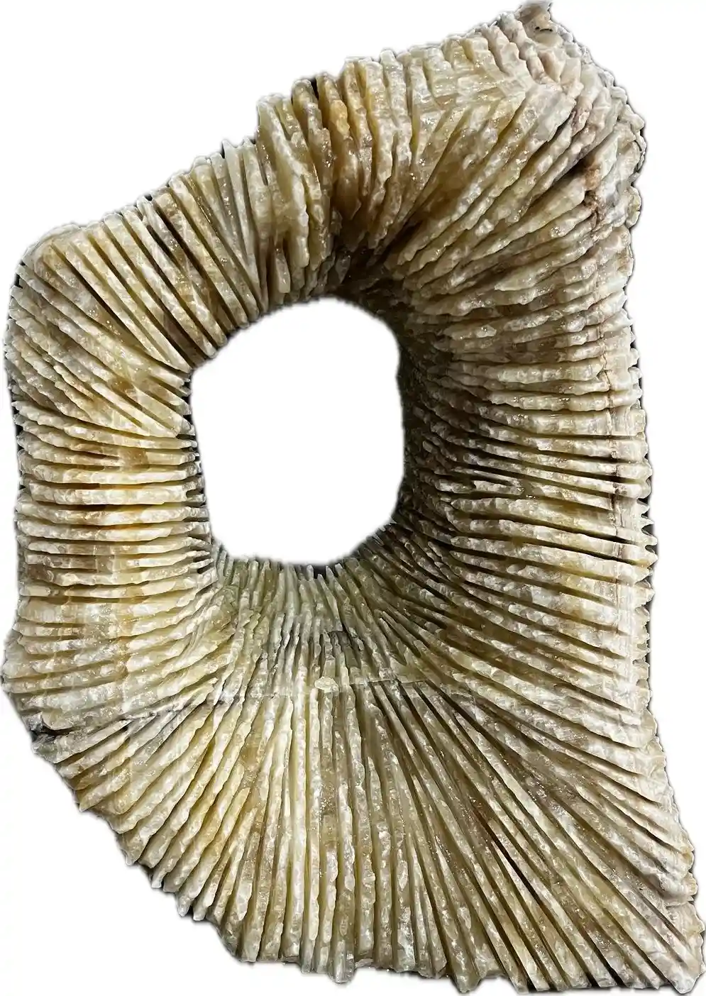 Capri / Surya - Stone Boutique Exterior Marble Category